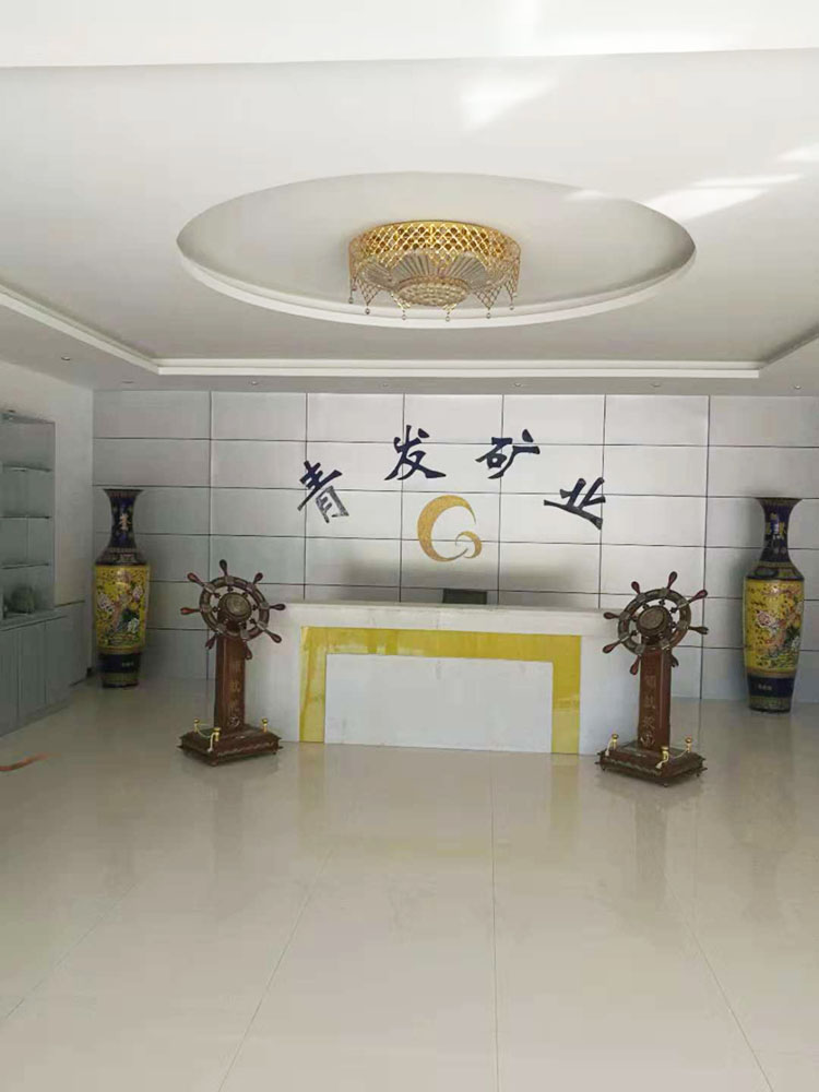 洛阳青发矿业公司执行案司法评估