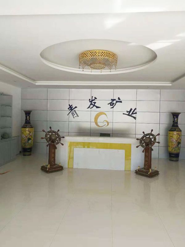 洛阳青发矿业公司执行案司法评估